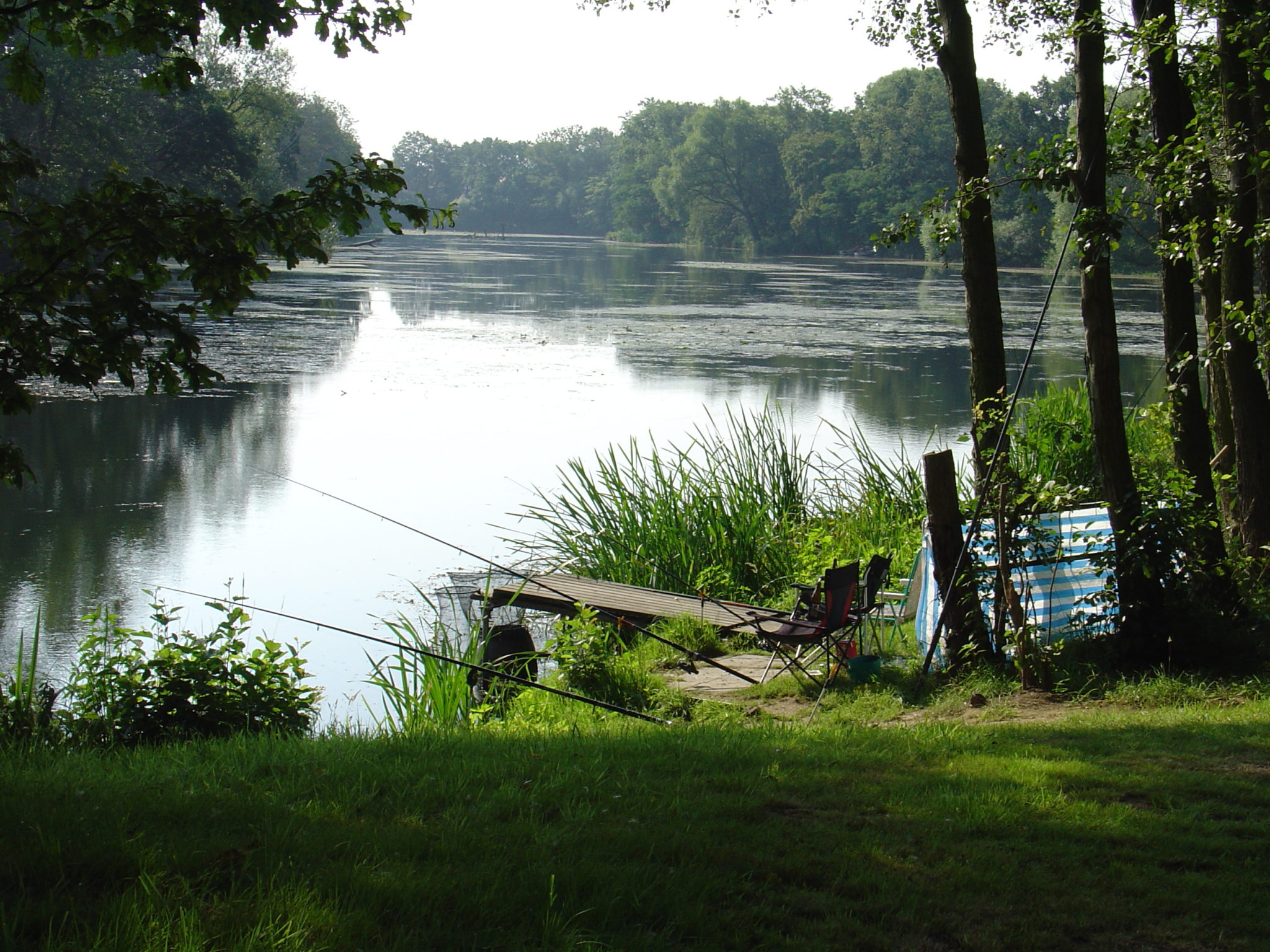 "Alte Mulde" Löbnitz — Photo 2 of 3