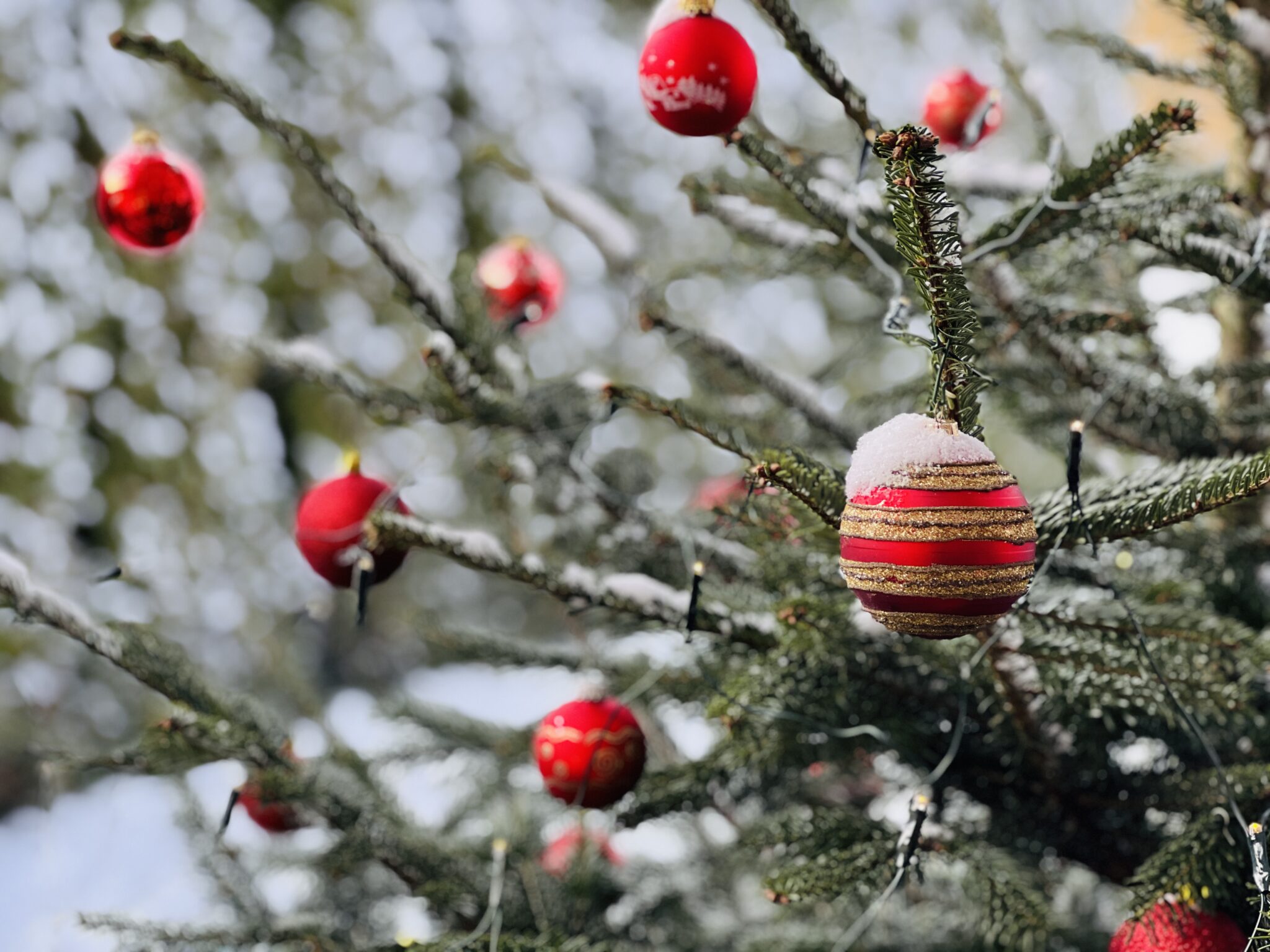 2024 12 Weihnachten S.pertus (2)