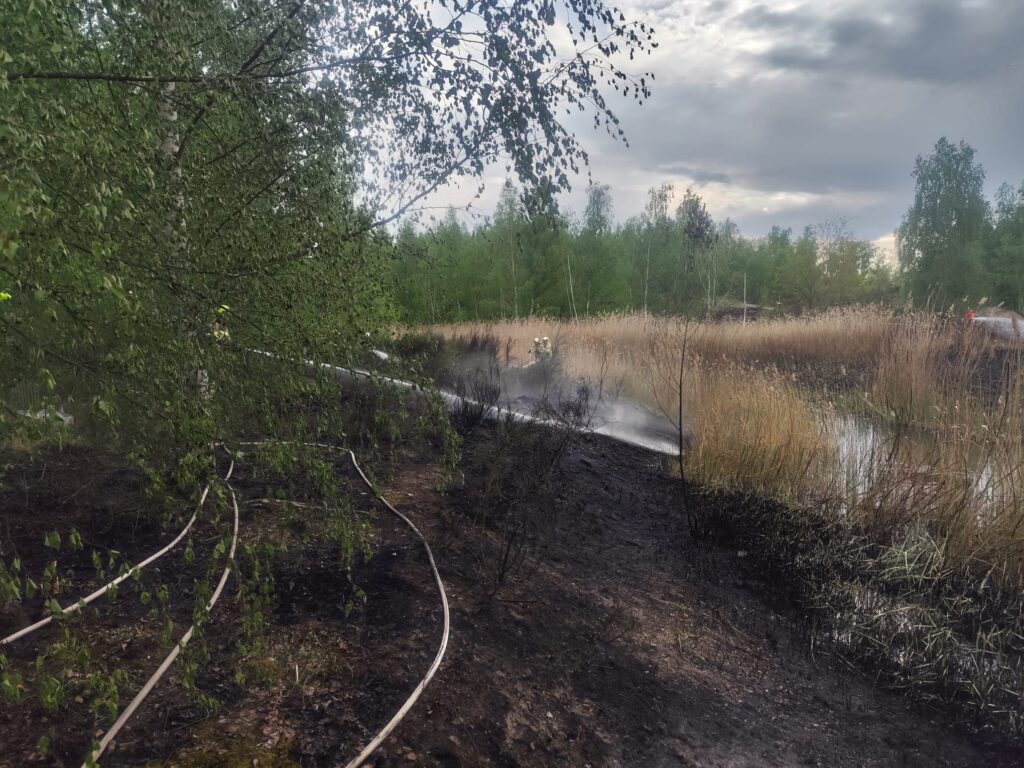 2025 05 02 Einsatz 14 (1)