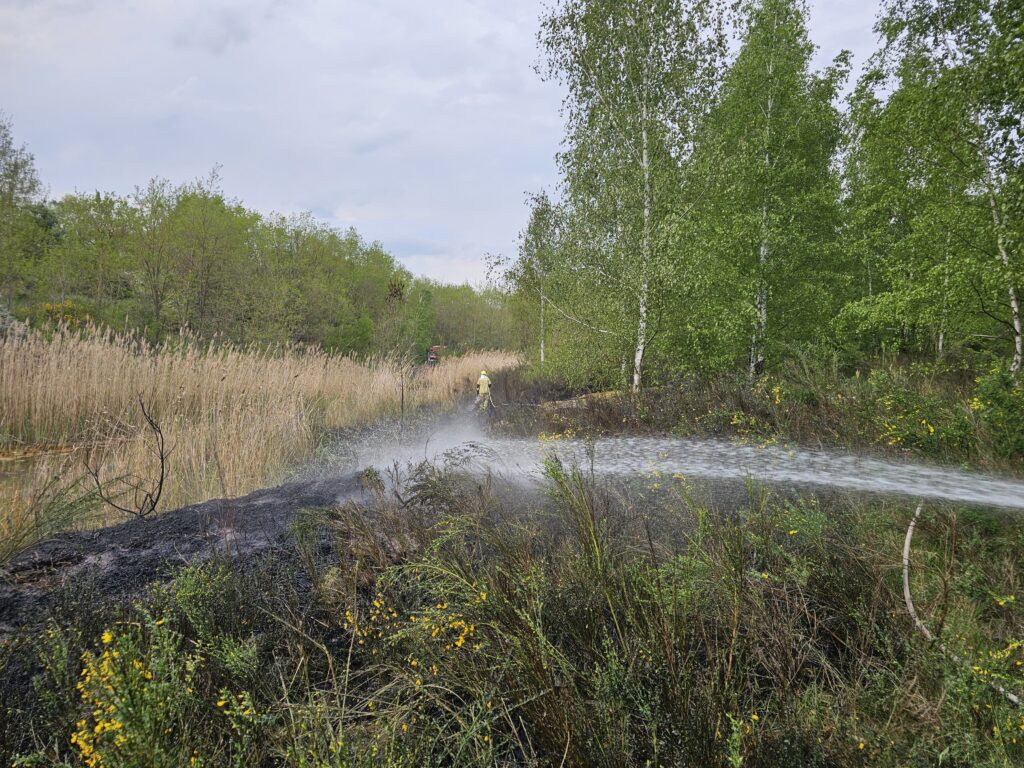 2025 05 02 Einsatz 14 (3)