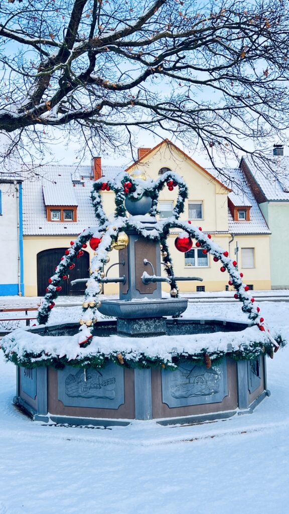 2025 11 24 Dorfbrunnen Im Advent (1)