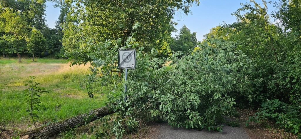 2025 06 23 Einsatz 25 2