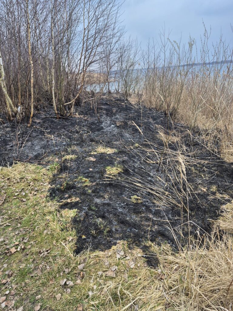 2026 03 21 Einsatz 05 (2)