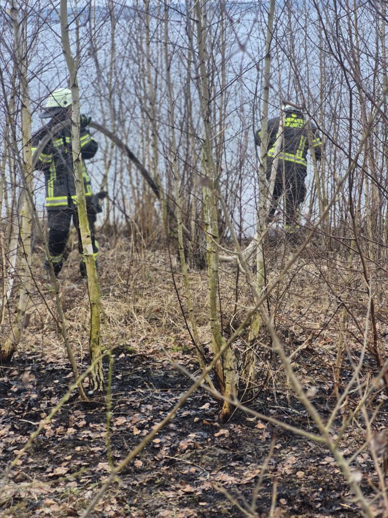 2026 03 21 Einsatz 05 (3)