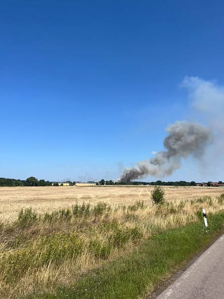 2026 07 24 Einsatz 18 Foto Ffw Delitzsch (1)
