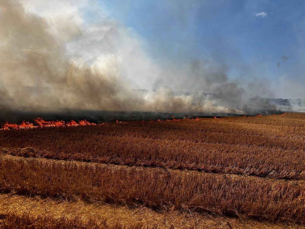 2026 07 24 Einsatz 18 Foto Ffw Delitzsch (2)