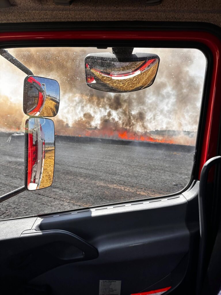 2026 07 24 Einsatz 18 Foto Ffw Delitzsch (3)