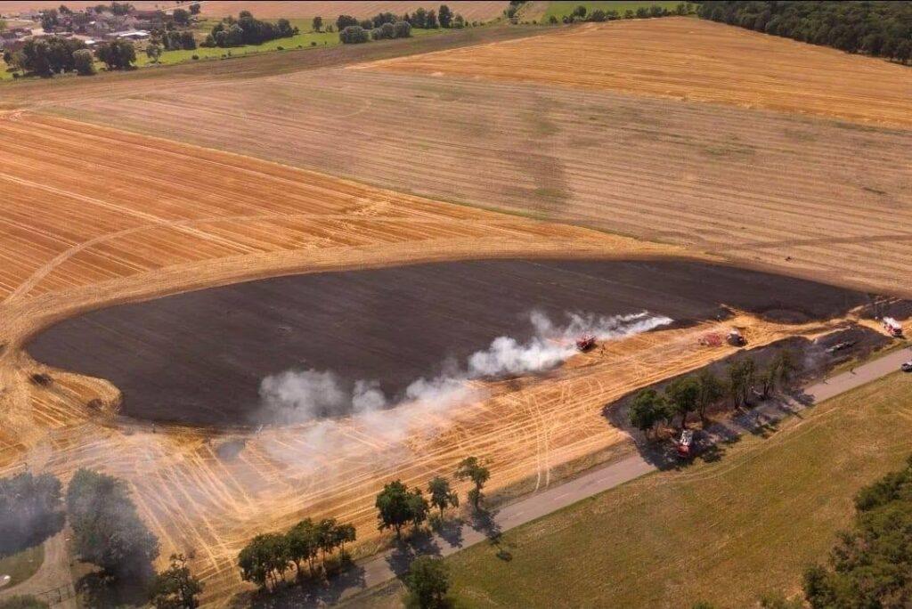 2026 07 24 Einsatz 18 Foto Ffw Delitzsch (4)