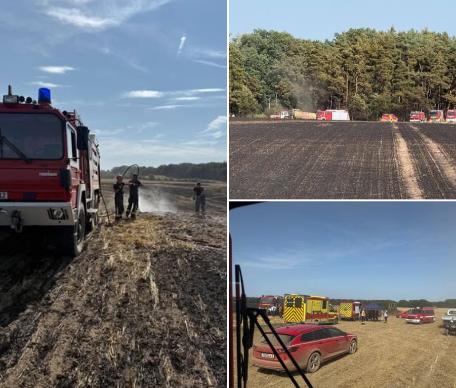 2026 07 25 Einsatz 19 Fotos Ffw Sausedlitz