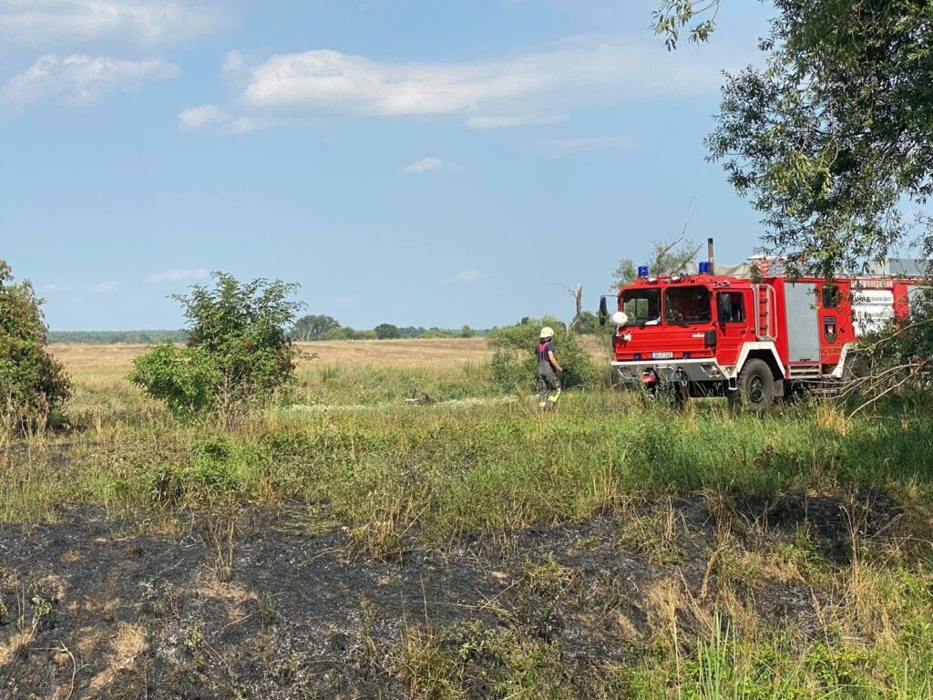 2026 08 03 Einsatz 35 (5)