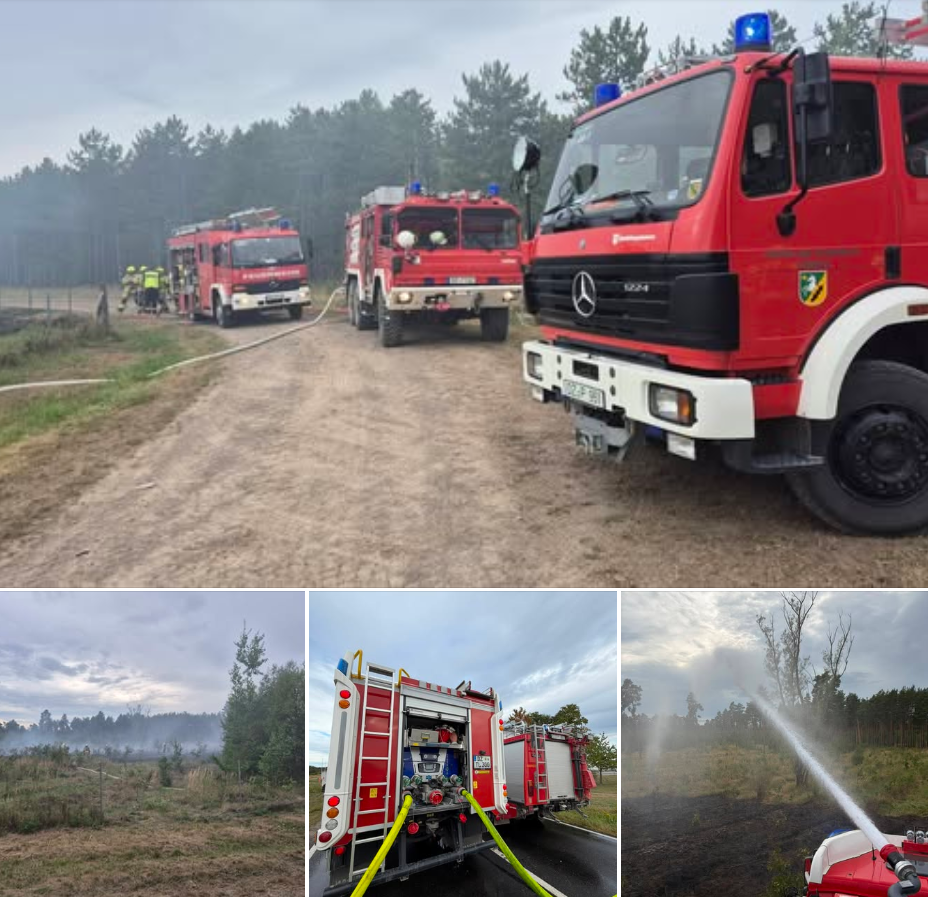 2026 08 19 Einsatz 37 (1)
